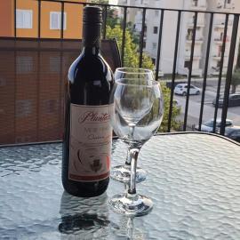 Luxury apartment Stefanija