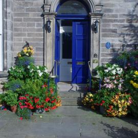 36 TheMall, Hotel in Montrose