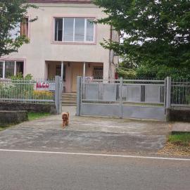 Elco, hotel Zugdidi városában