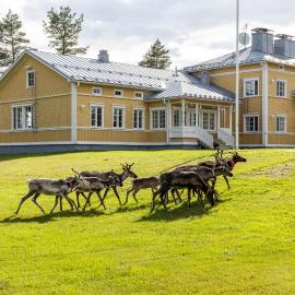 House of Northern Senses