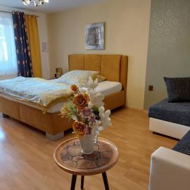 Hotel Olga, hotel u gradu Slavkov u Brna