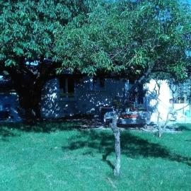 MAISON A 10MIN DU ZOO DE BEAUVAL, hotel in Noyers-sur-Cher