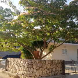 Apartments by the sea Cove Saplunara, Mljet - 4896, Hotel in Maranovići