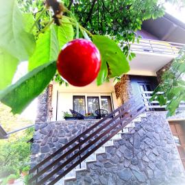 Grandma's apartment, ξενοδοχείο σε Velika