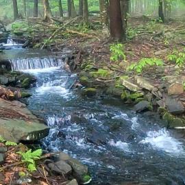 Romantic Pocono house - stream, lake, beach, pool, firepit, Hotel in Locust Lakes Village