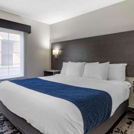 Best Western Allatoona Inn & Suites，卡特斯維爾的飯店