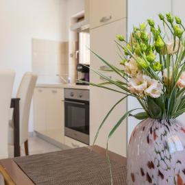 Apartmani Xenia & Desiderio, hotel Buzetben
