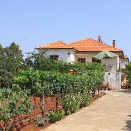 Apartments by the sea Ugljan - 8257