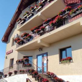 TOMIS Pensiune, hotel a Baile Felix