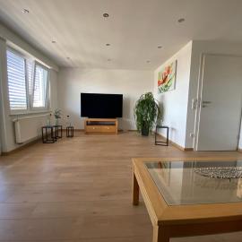 Ferienwohnung am Holzberg in Volkach mit Weitblick