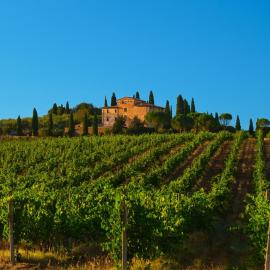 Agriturismo La Torre dell'Oliveto, Hotel in Agello