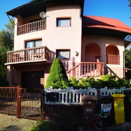 Irysek