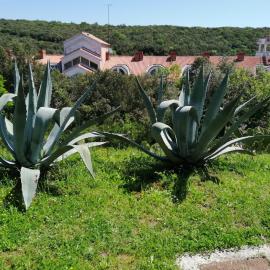 Apartments by the sea Duga Uvala, Marcana - 18939, hotel in Krnica