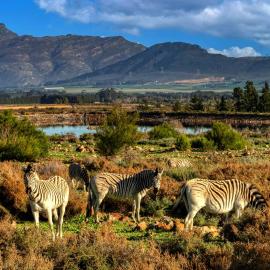 Welbedacht Game & Nature Reserve، فندق في تولباغ