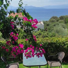 Seaside Boutique Villa