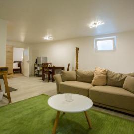Business Apartment
