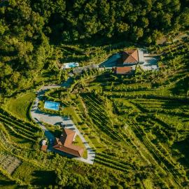 Casa da Adega - Quinta da Portela