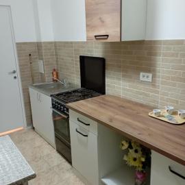 Apartament Băile Herculane cu vedere la munte