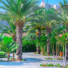 Agamim Hotel Ashkelon, hotel em Ashkelon