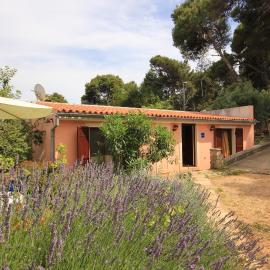 Apartments with parking space Veli Losinj, Losinj - 8029