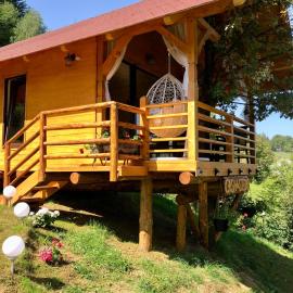 Domeniul Horj Casa din Stejar Moisei, khách sạn ở Moisei