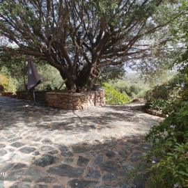 A casa di Sognu, hotel di Figari