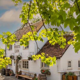 The White Lion, Soberton