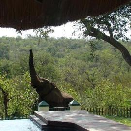 Muweti Bush Lodge, hotel in Grietjie Nature Reserve