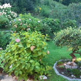 TOP Garden View, hotel Voldersben
