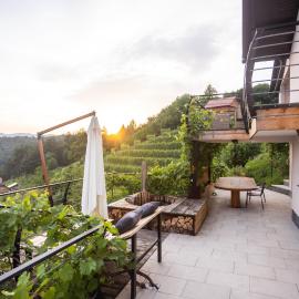 Vineyard cottage Sonce, hotel in Šentvid pri Stični