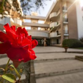 Le Residenze di Santa Costanza - Mirto/Corbezzolo, Hotel in San Vincenzo