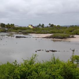 House, hotel in Puerto Villamil