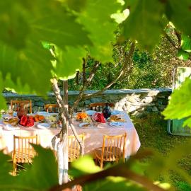 Mountain Home Inn-Guesthouse, hotel in Lagodekhi