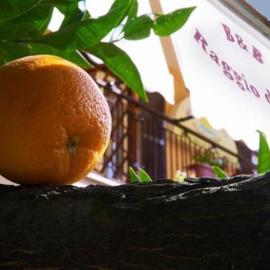 B&B Raggio Di Sole, hotel Trevignano Romanóban
