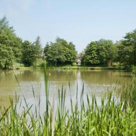 The Chestnuts Holiday Cottages, hotell sihtkohas Burgh le Marsh
