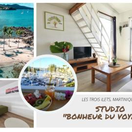 Studio idéal couple, à 200m de très belles plages pointe du bout!, Hotel in Lazaret