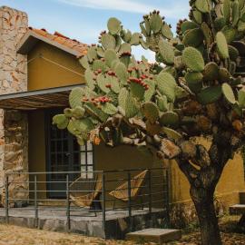 Casa Noma