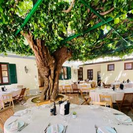 Antica Locanda al Gelso，蒙法爾科內的飯店