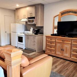 Cozy Spacious 1-BDR Studio #8. FREE Parking, hotel v mestu Gatineau