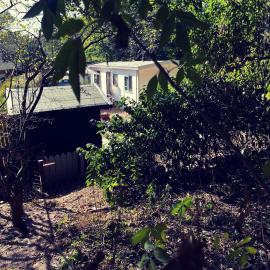 Heerlijk bos chalet met ongekende rust en vrijheid, ξενοδοχείο σε Nunspeet