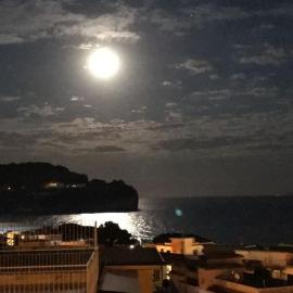 I datteri Bilocale a meno di 300 mt dal mare