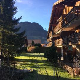 Ferienwohnung Interlaken/Wilderswil, hotel in Wilderswil