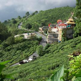 Traditional Hotel & Restaurant !! Kurseong !! Best Hotel in Kurseong, hotel in Darjeeling