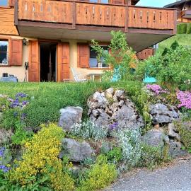 Le Sapin, Hotel in Les Diablerets