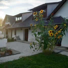 Kutny Residence -Chateau Schaal, hotelli kohteessa Hegyhátsál