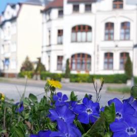 Kamienica Pod Kasztanami Świnoujście – hotel w Świnoujściu