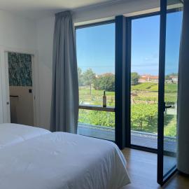 Habitación deluxe rodeada de viñedos, Hotel in Ribadumia