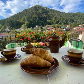 Villa СARPE DIEM, hotel em Laško