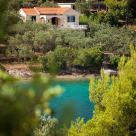 Seaside holiday house Cove Gabrica, Korcula - 17195