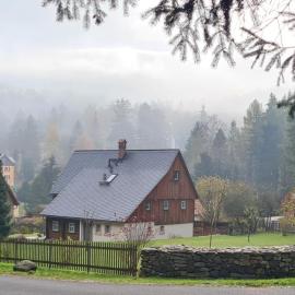 Am Waldessaum